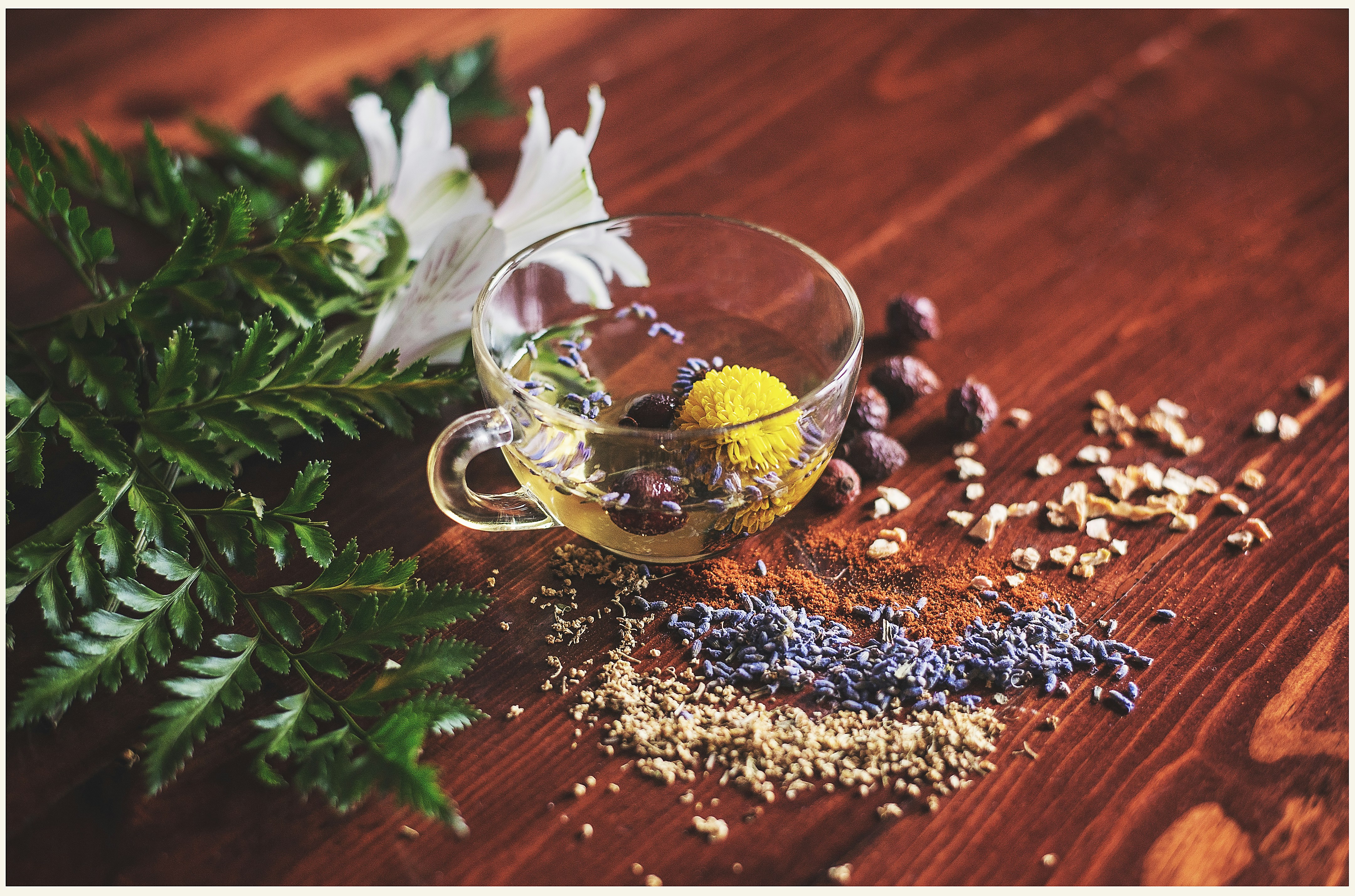Wildmoor Botanicals herb shop